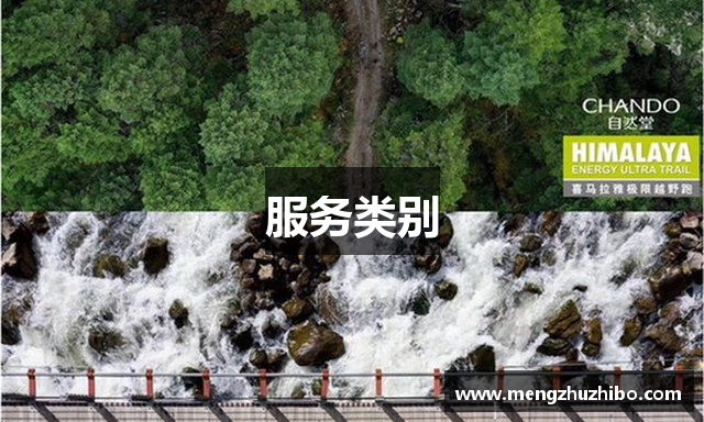 服务类别